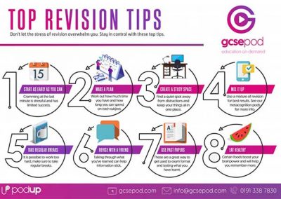 revision websites for essays